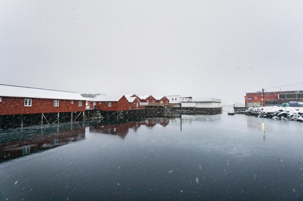 Lofoten Cabin And Kayak Rental Stamsund Exteriör bild
