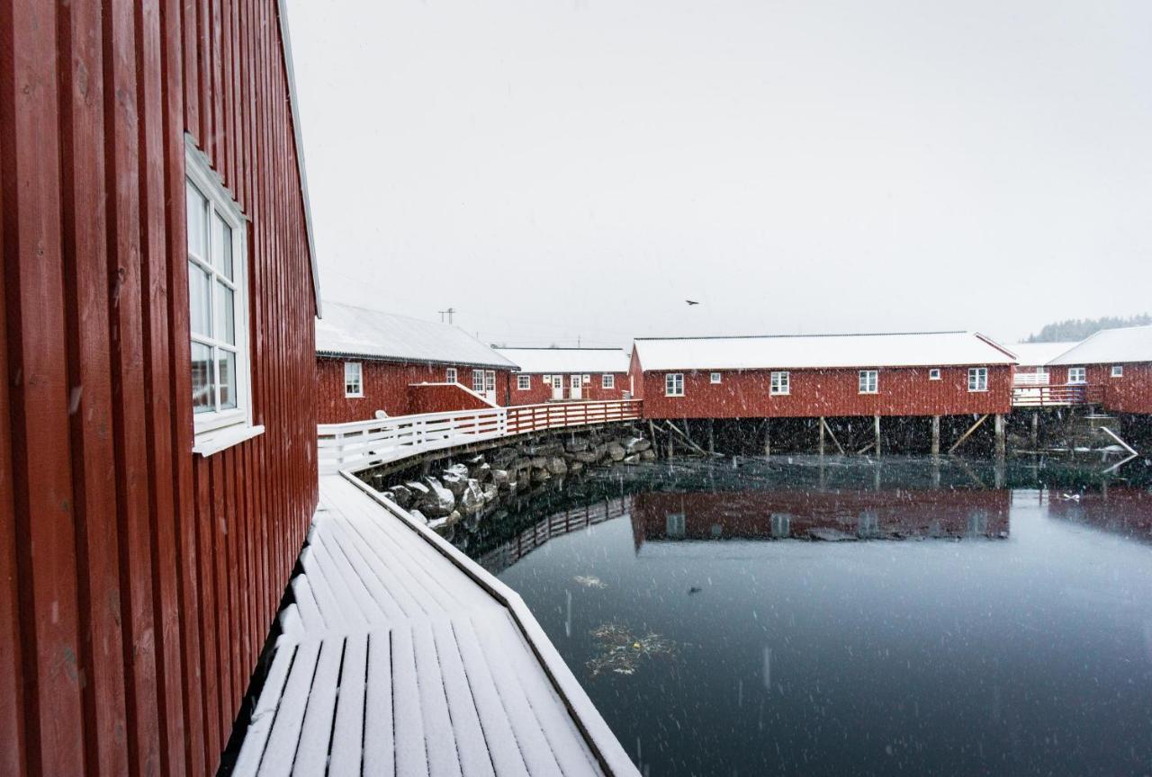 Lofoten Cabin And Kayak Rental Stamsund Exteriör bild