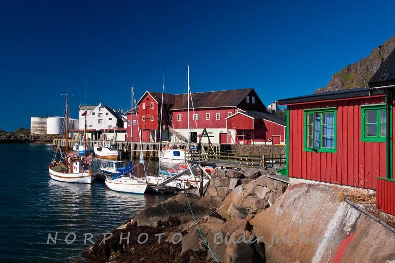 Lofoten Cabin And Kayak Rental Stamsund Exteriör bild
