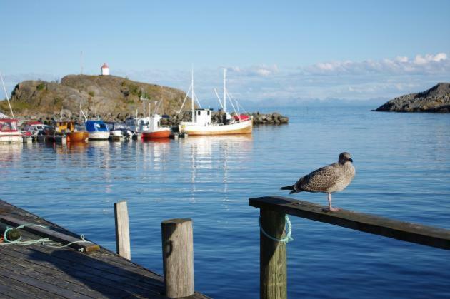 Lofoten Cabin And Kayak Rental Stamsund Exteriör bild